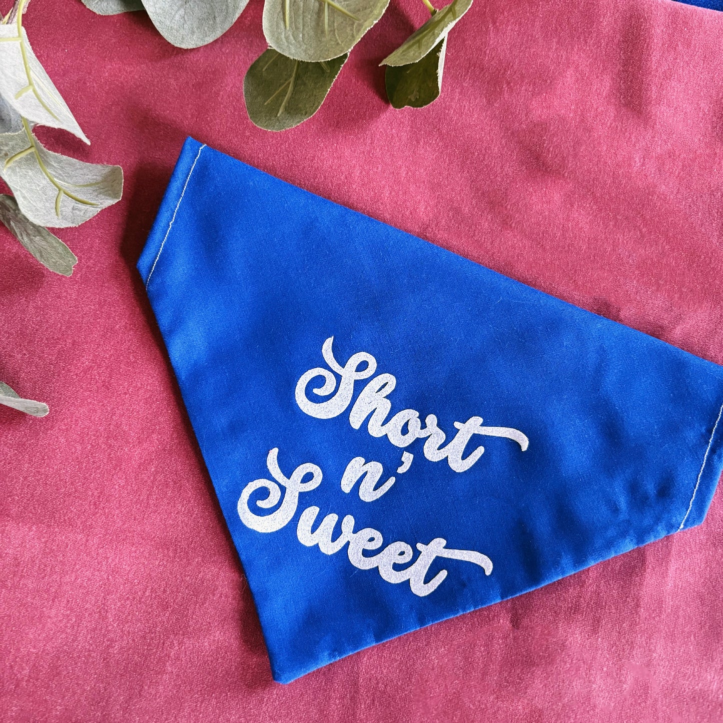 Short n’ Sweet - Pet Bandana