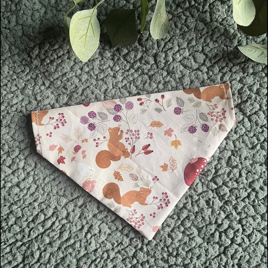 Autumn Squirrel - Pet Bandana