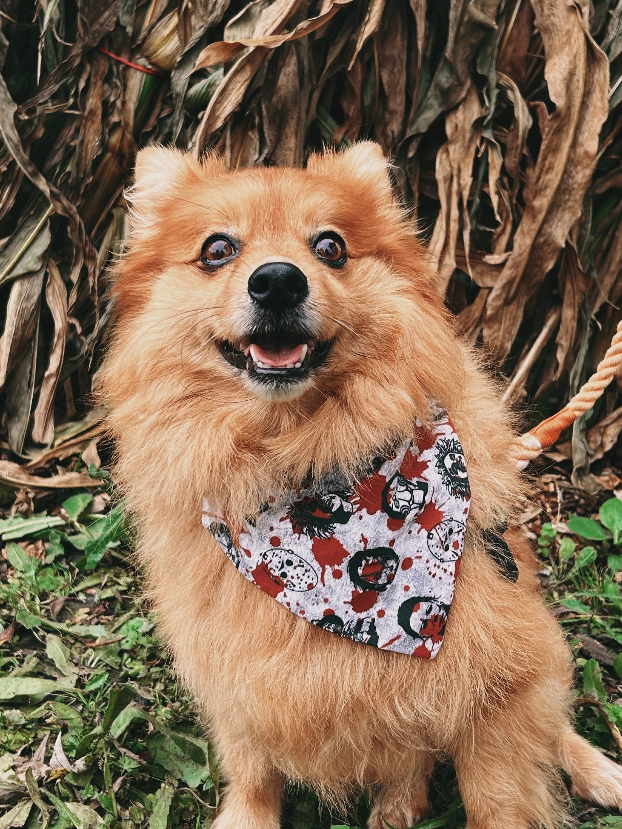 Horror Character Splatter - Pet Bandana