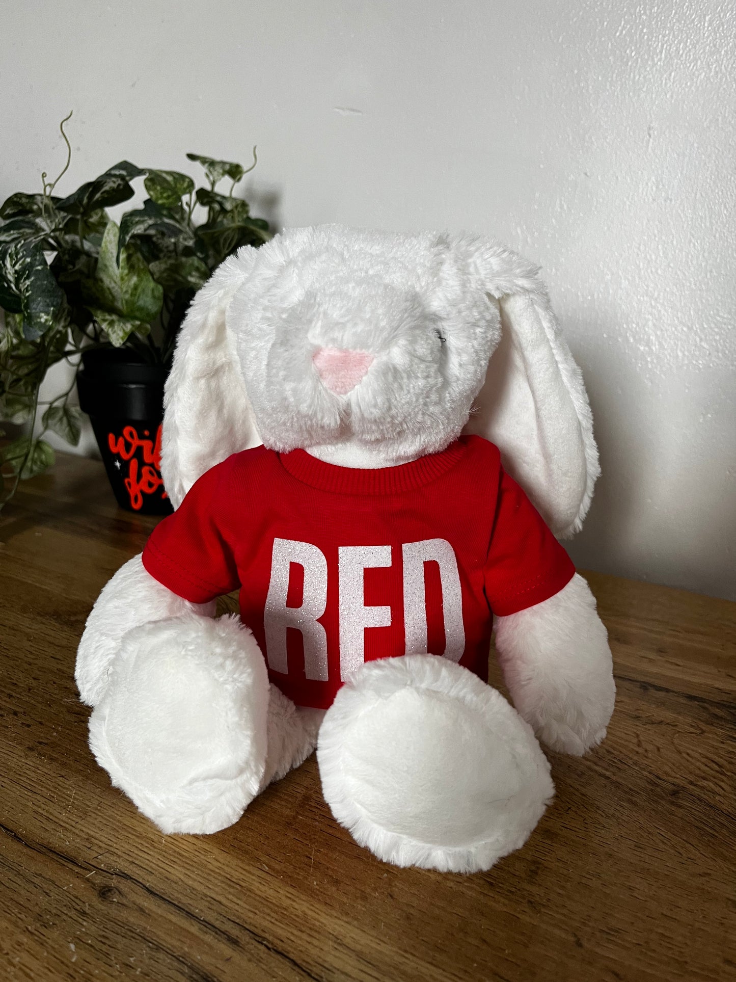 T Swift Eras Bunnies - in a tee - Plushie