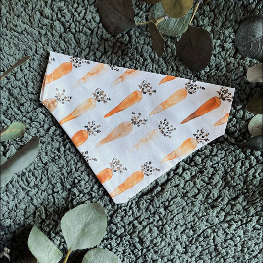 Easter Carrots - Pet Bandana