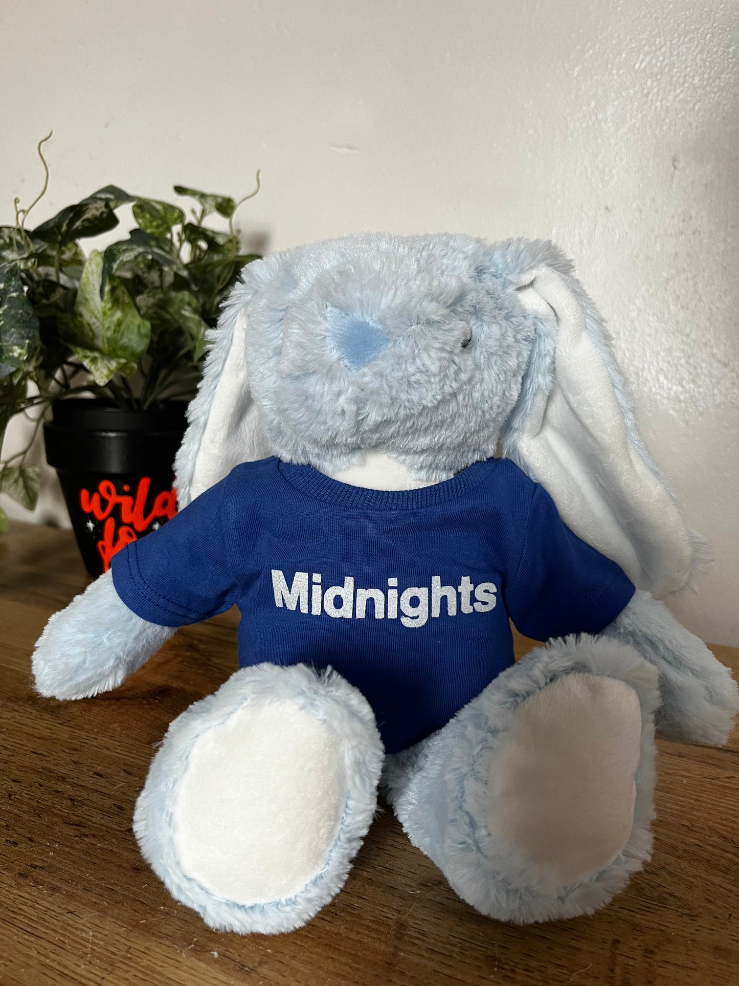 T Swift Eras Bunnies - in a tee - Plushie